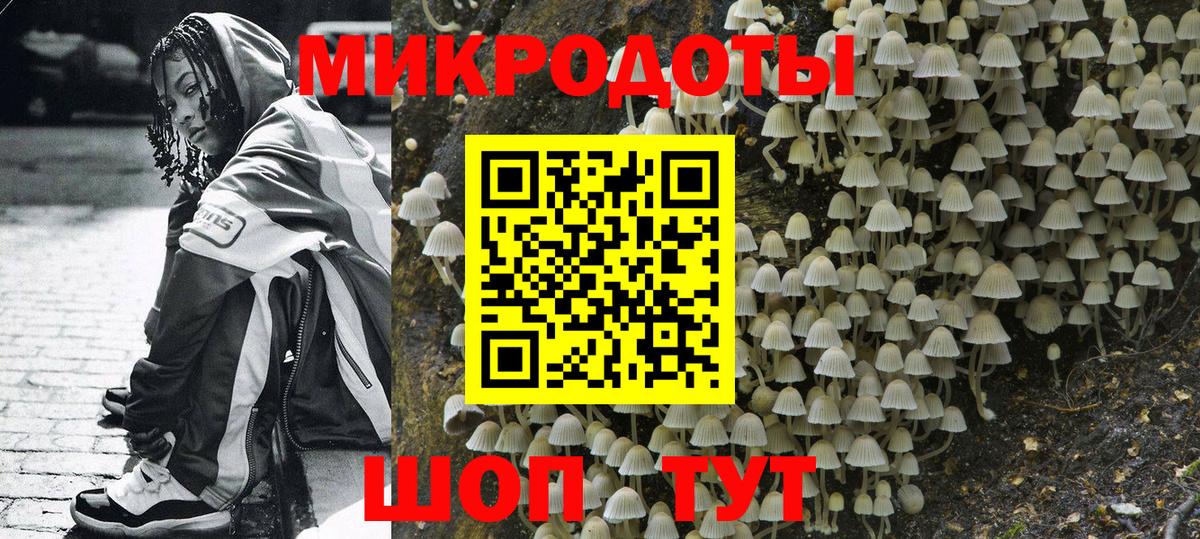 Галлюциногенные грибы ЛСД Холмск